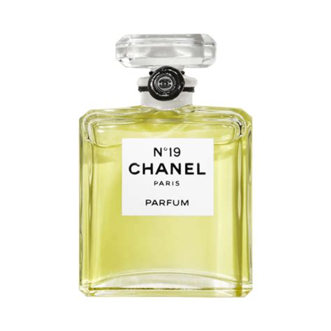 chanel chanel 19 perfume|chanel 19 perfume offers.